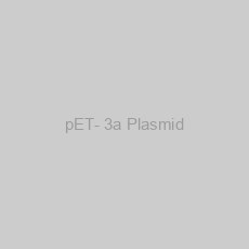 Image of pET- 3a Plasmid